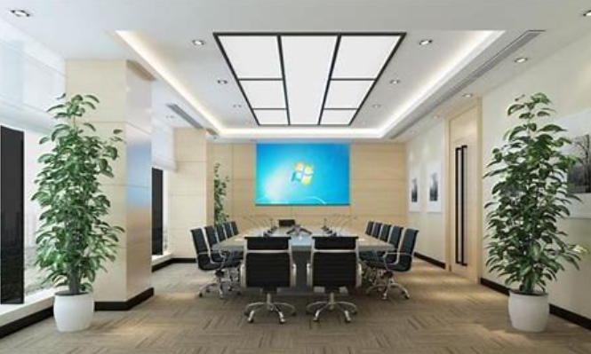 租賃什么綠化植物適合放在辦公室